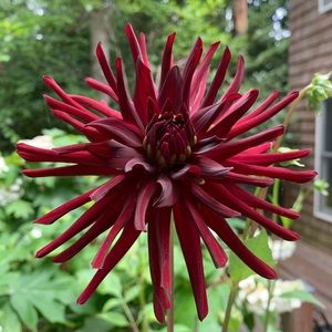 Meet your Posher, Jeremy